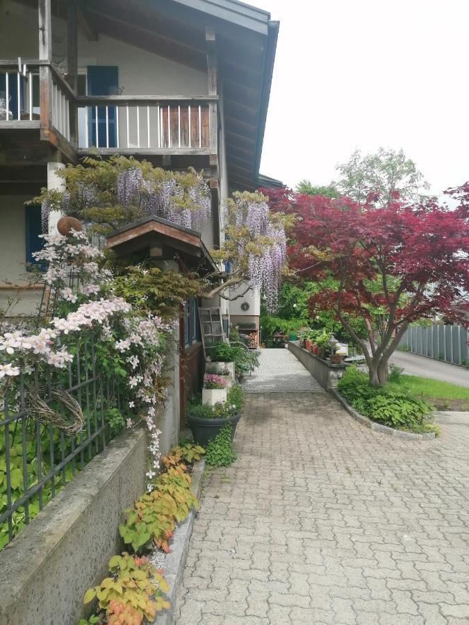 Ferienwohnung Am Rhein Koblach Buitenkant foto