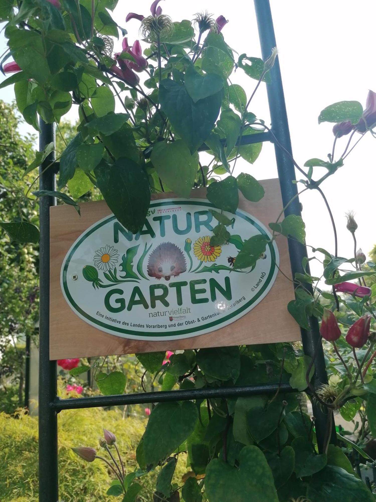 Ferienwohnung Am Rhein Koblach Buitenkant foto