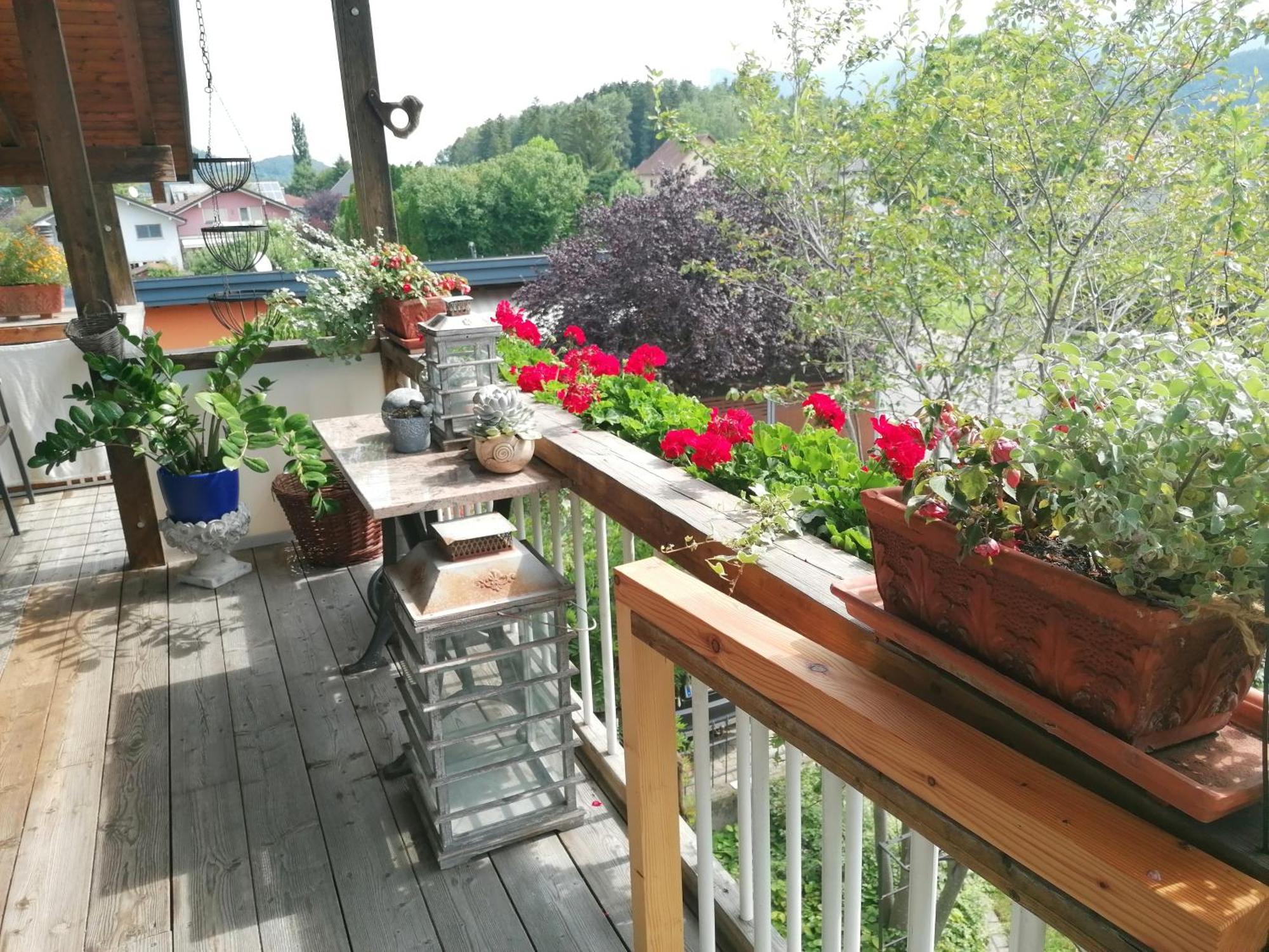 Ferienwohnung Am Rhein Koblach Buitenkant foto